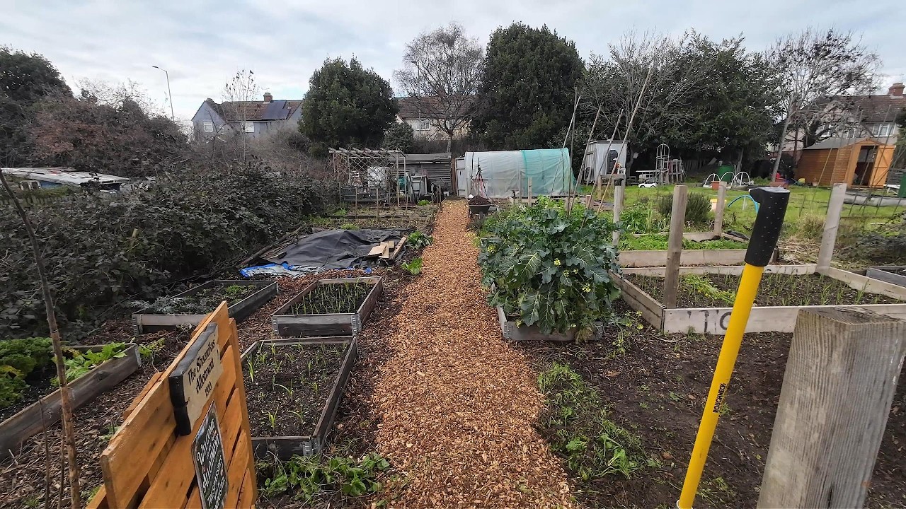 Neatest Allotment Loading