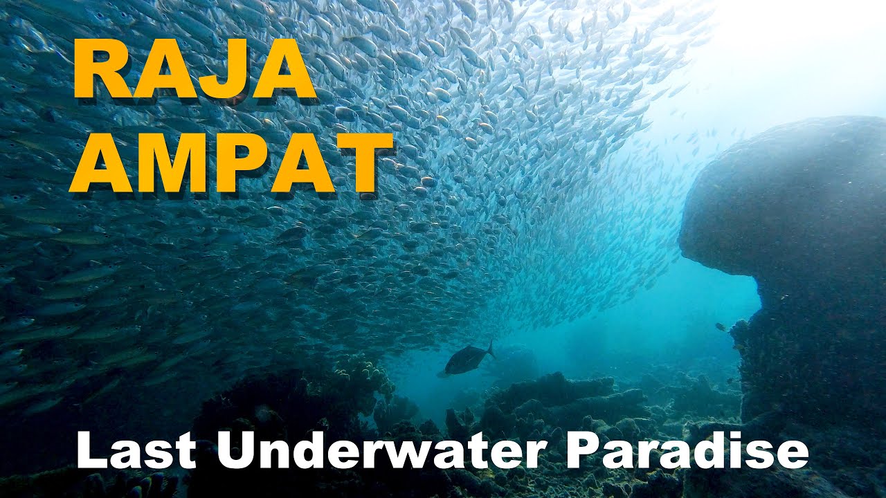 The worlds top dive-spot: Raja Ampat (Indonesia)