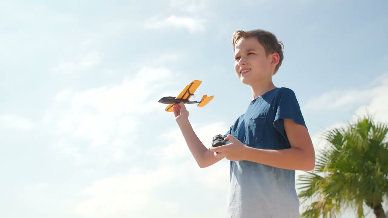 FLYBOTIC  HORNET EVO by Silverlit Toys