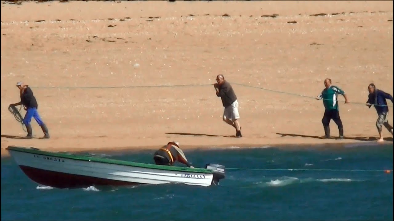 Pêche à la Senne de la Plage ; Filet ; Halage ; Etel ; Morbihan ; Bretagne ; France