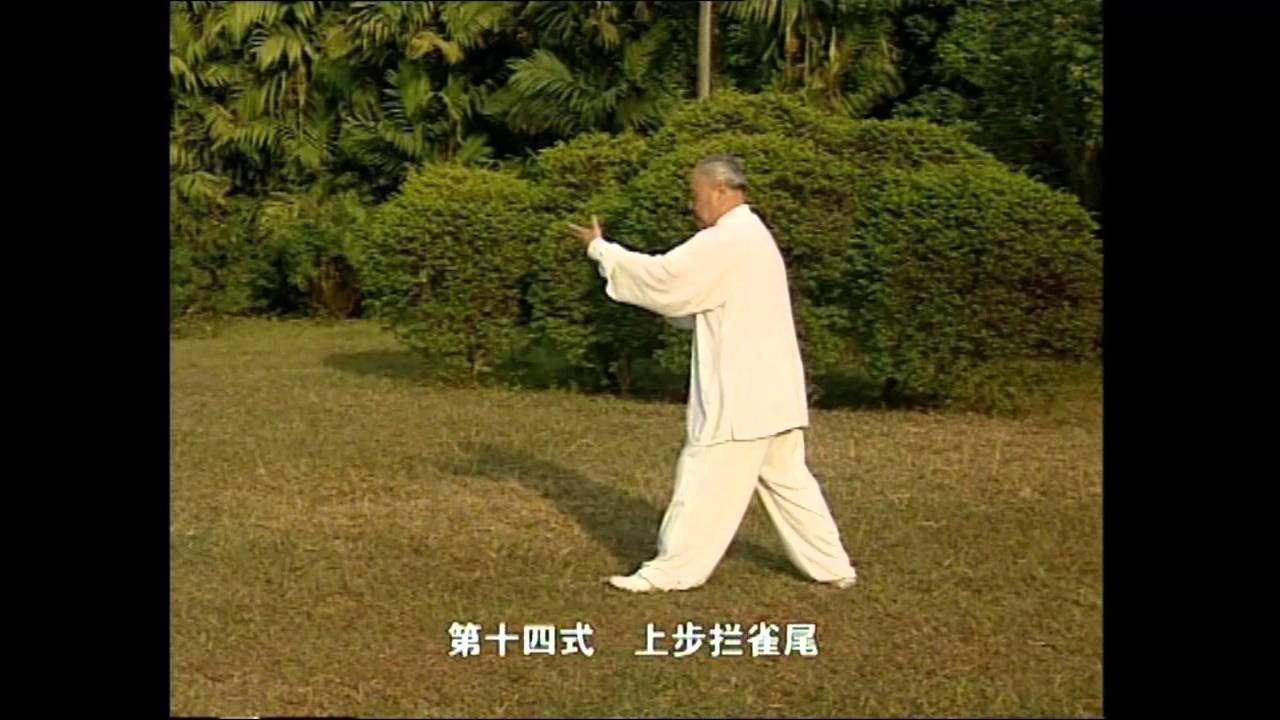 Yang Zhenduo 16er Form