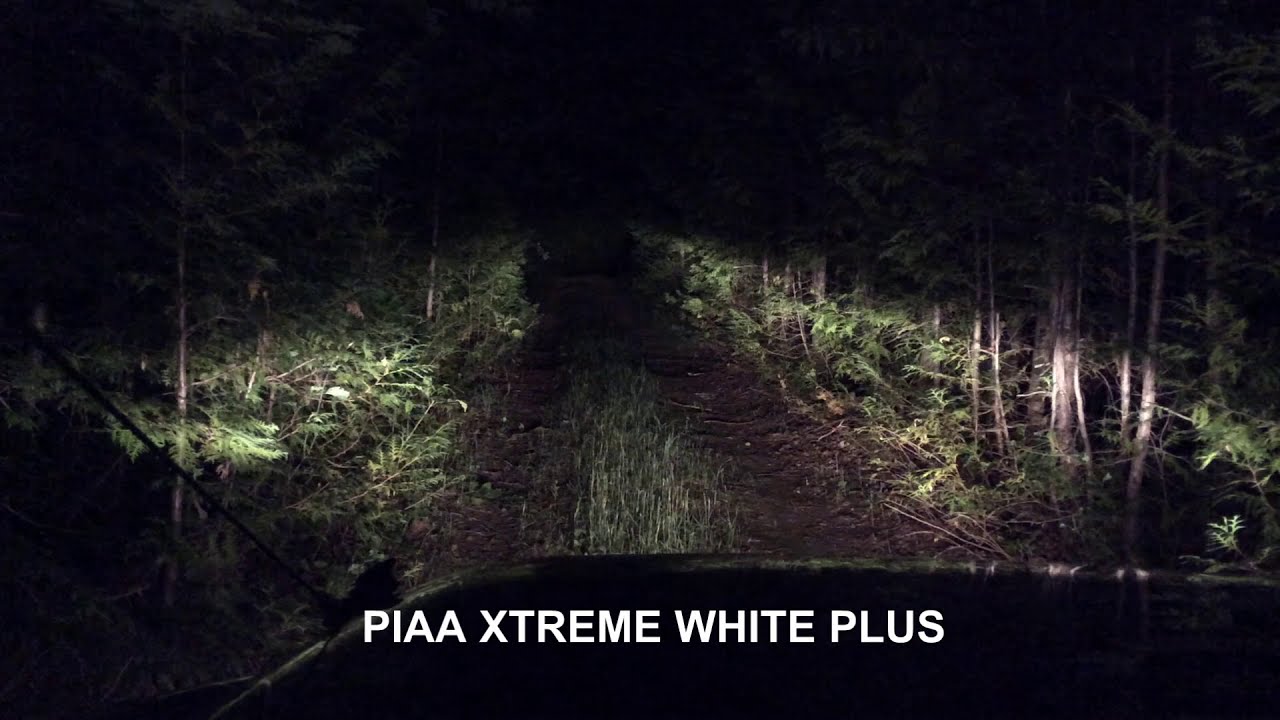 Rigid D-SS Spot Lights vs PIAA XTREME White Plus