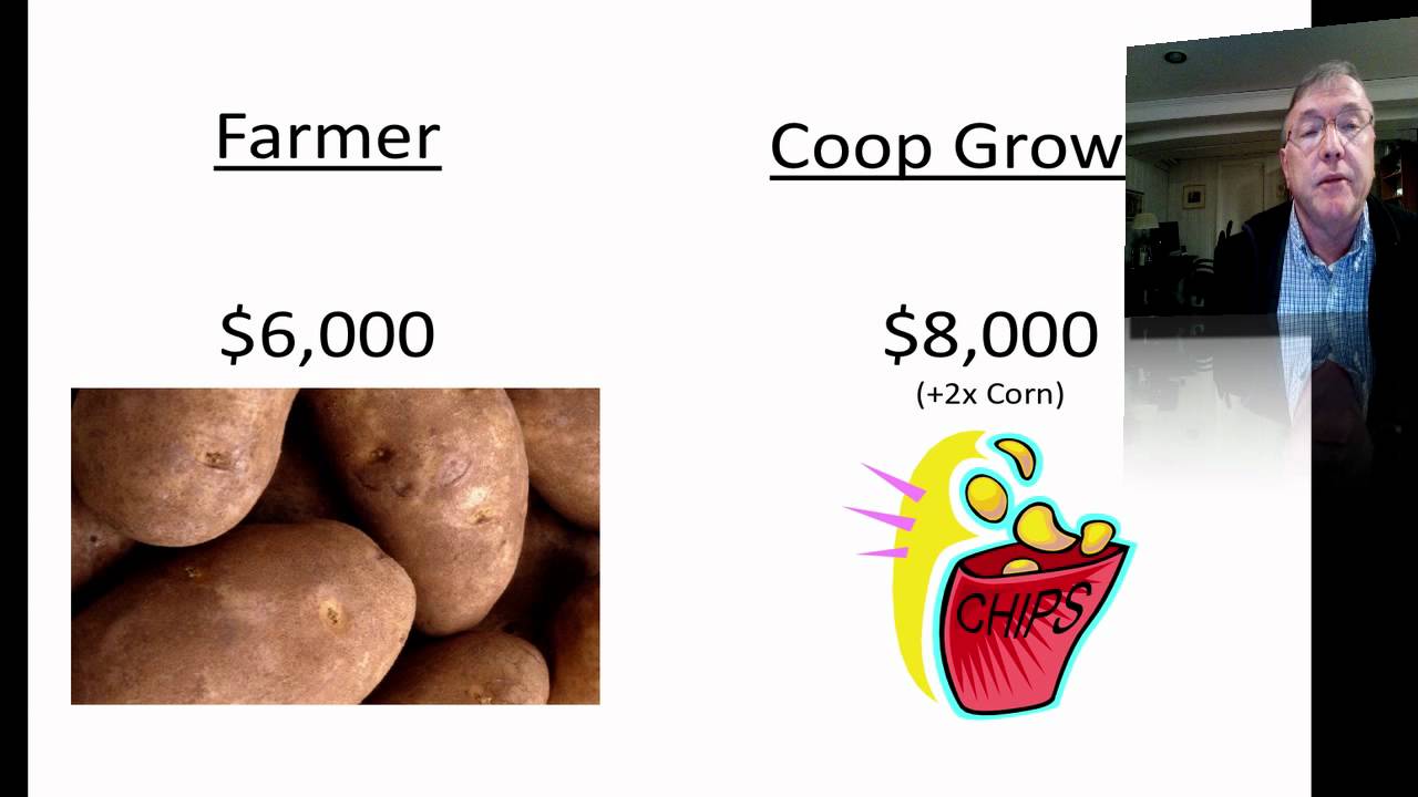 Pricing Strategy: Positioning and How to Price Your Product