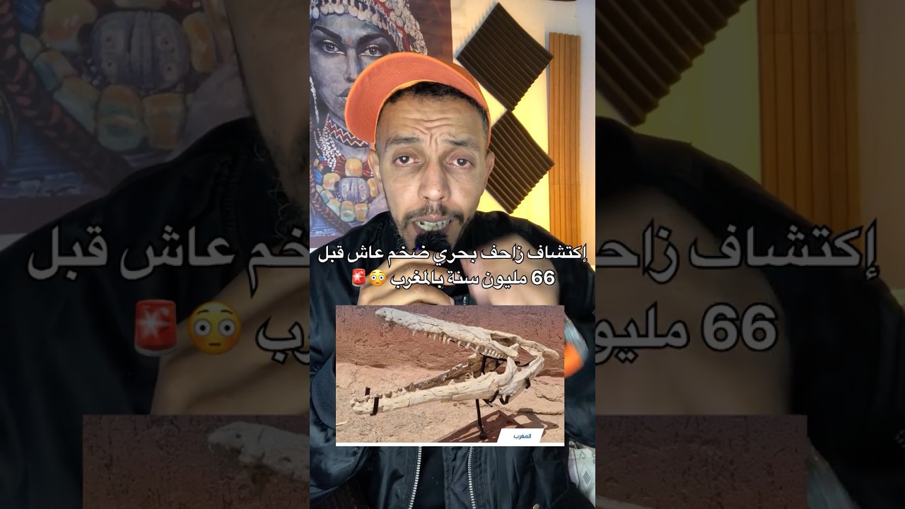 اكتشاف زاحف بحري واضخم عاش قبل 66ميلون عام بالمغرب 😳