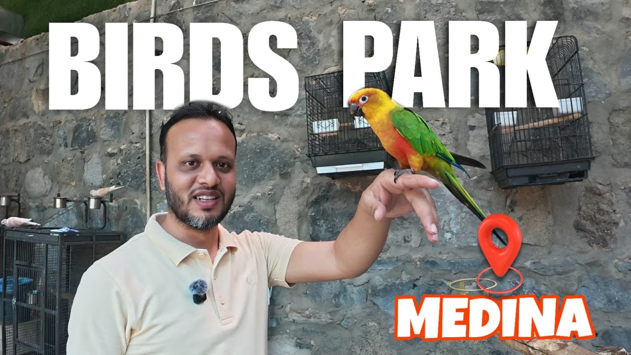 Birds Park Al Ossia Sanctuary | Bird Park Near Quba Masjid