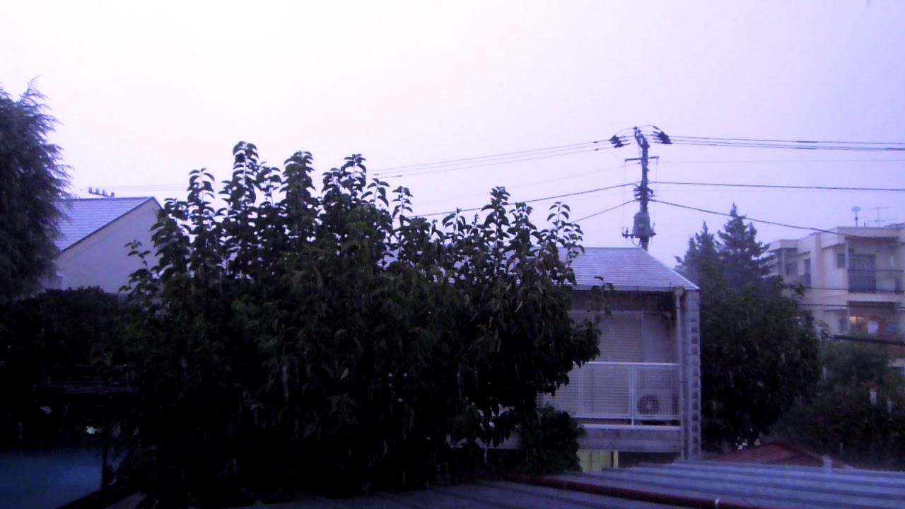 今日の雷は酷かった！