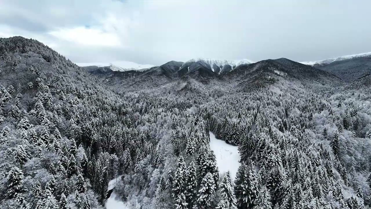 Valea Rea, Nucșoara ❄️ Winter Landscape | Cinematic Drone Footage