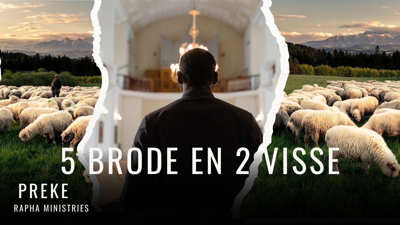 5 Brode en 2 Visse