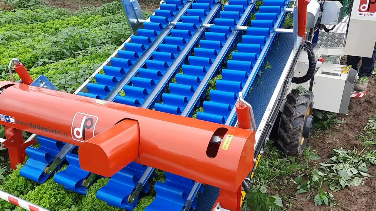 De Pietri FR38 ECO - Head Lettuce harvest