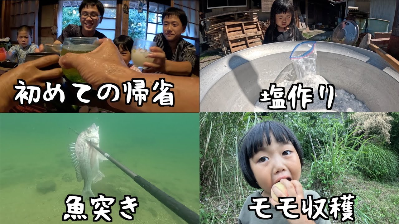動物大家族のルーティン#328【廣川家の好日】