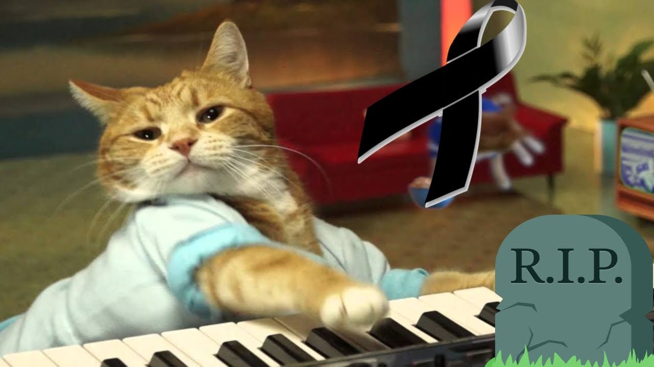 Keyboard Cat Muere!
