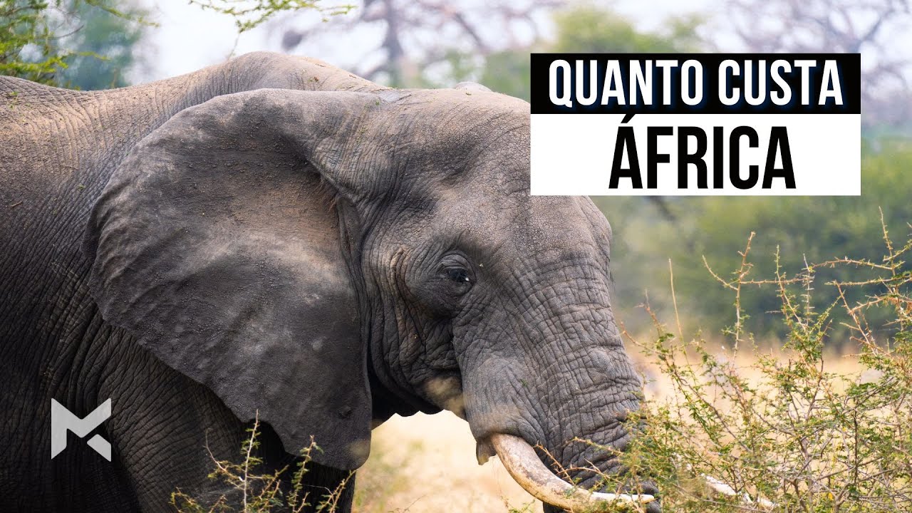 A pergunta que eu mais recebo: Quanto custa viajar pra ÁFRICA!