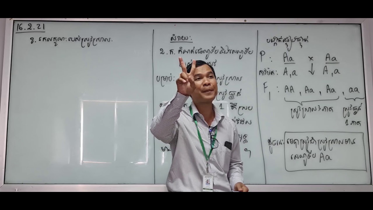 លំហាត់ម៉ូណូអ៊ីប្រ៊ីឌីស បង្កាត់ស្រូវ