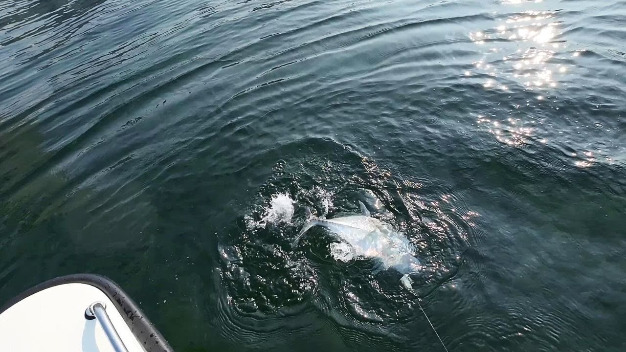 REEF POPPING & JIGGING FOR TREVALLY - FISHING IN COLOMBO SRI LANKA