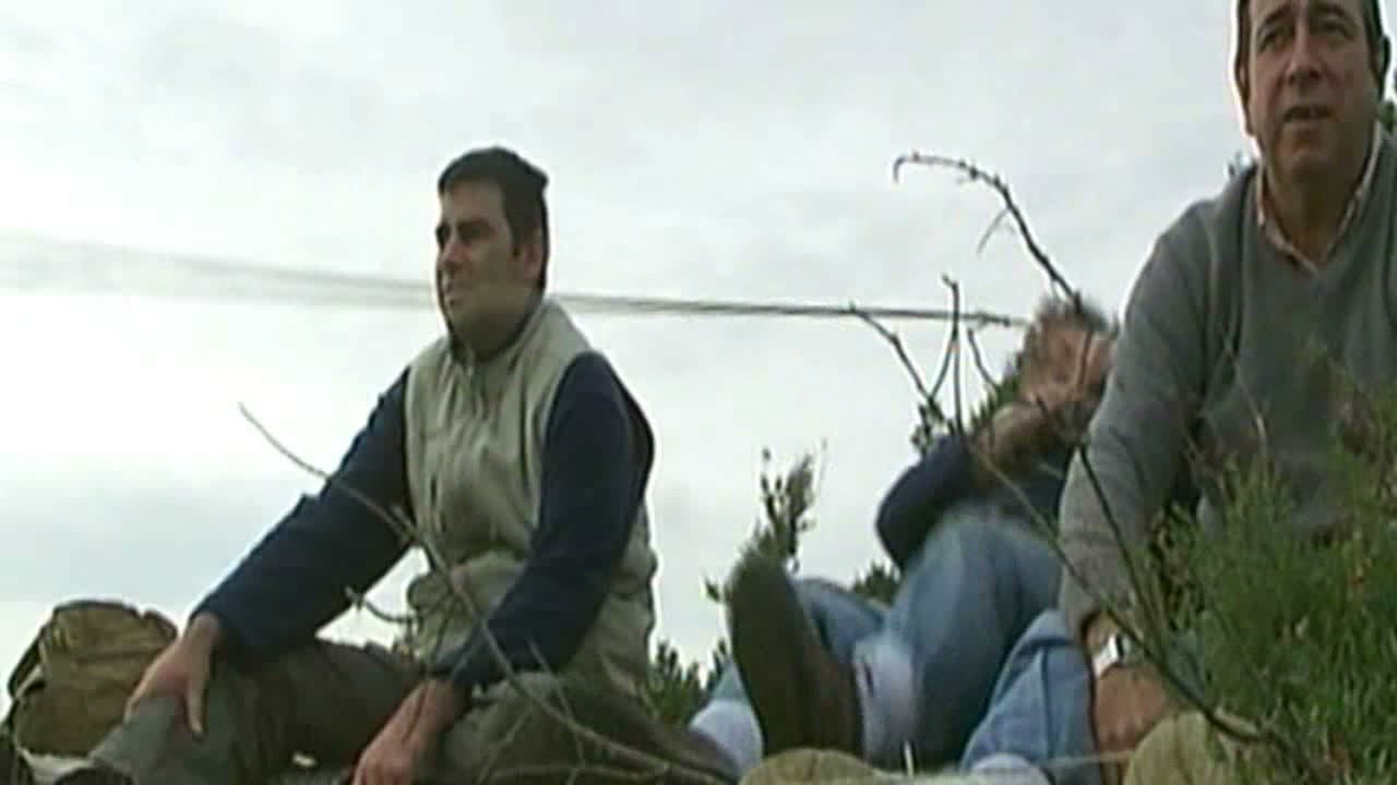 EL SILVESTRISTA