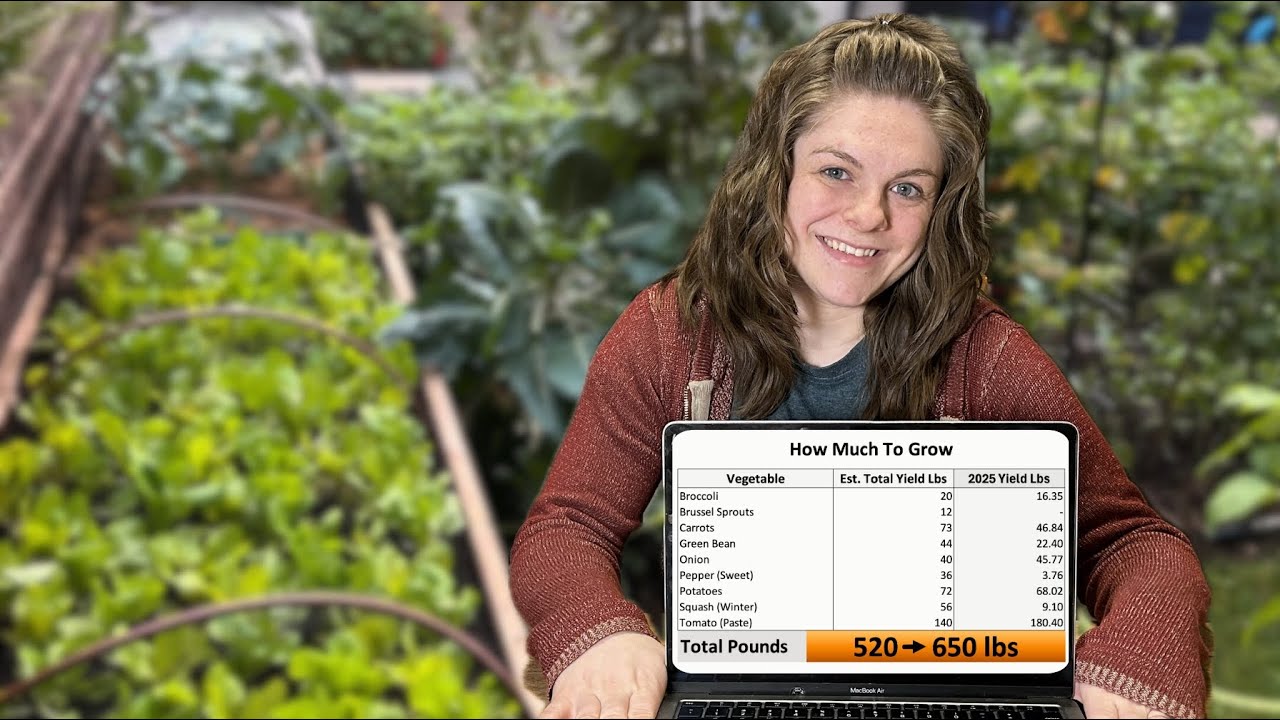 2026 Garden Plan: More Food, Better Nutrition, Bigger Savings