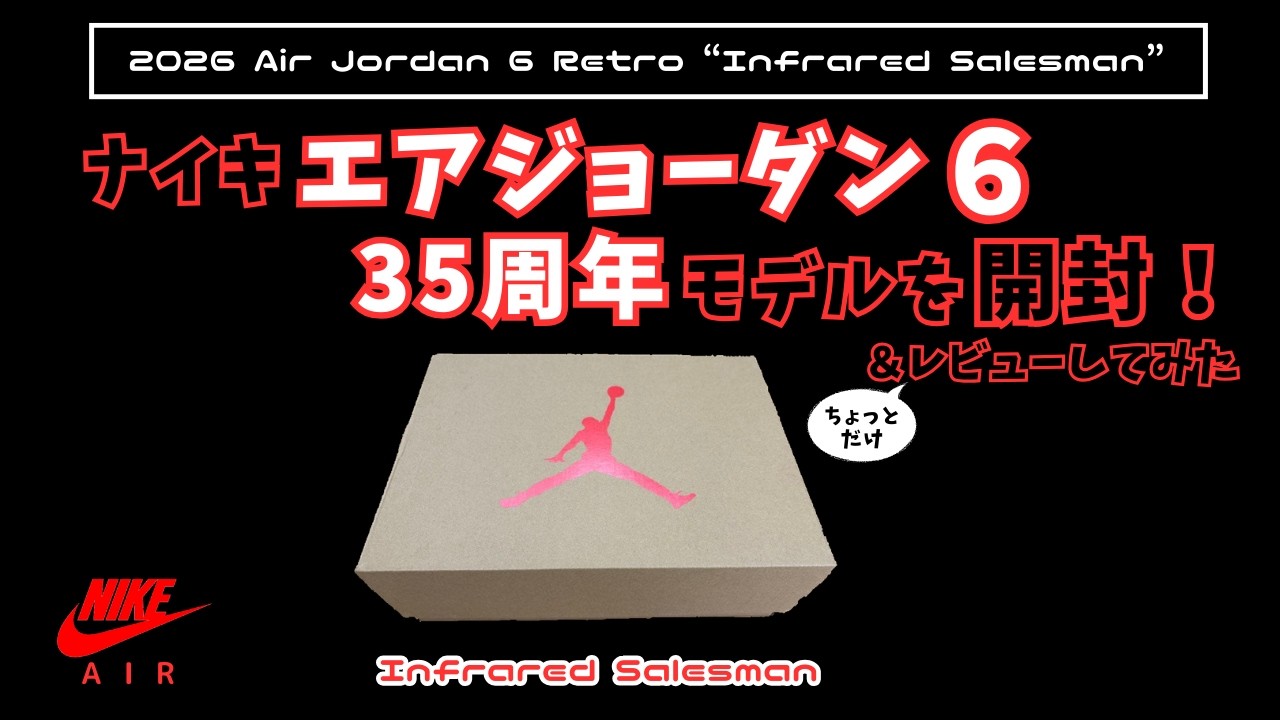 【投稿35本目に】35周年のNIKE AIR JORDAN 6 RETRO 