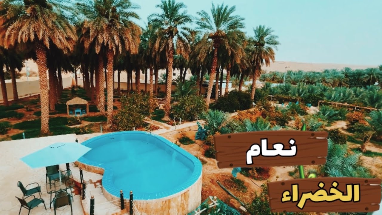 نعام الخضراء 🌱 | جولة في بعض مزارع ومناحل مركز نعام 🍯🌴