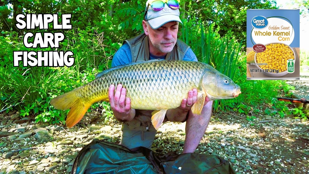 Simple Carp Fishing With Canned Sweet Corn