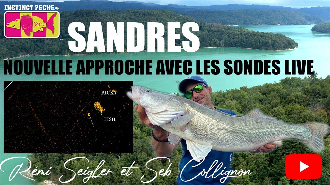 SANDRES 