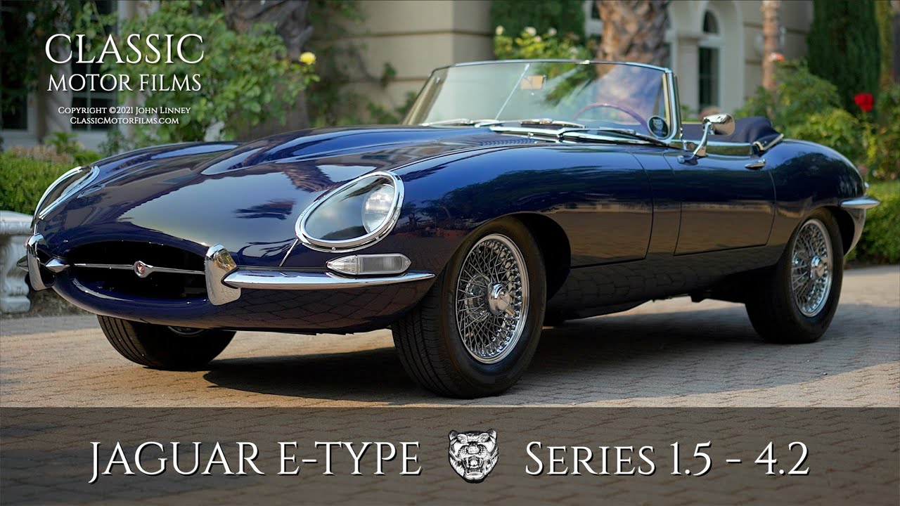 Jaguar in Blue