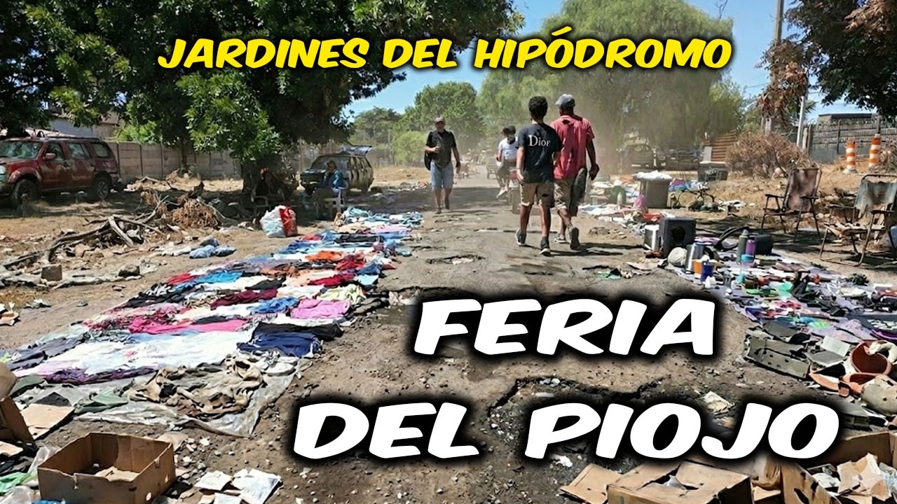 🇺🇾 Caminando la FERIA DEL PIOJO hasta el Estadio de Danubio | Montevideo