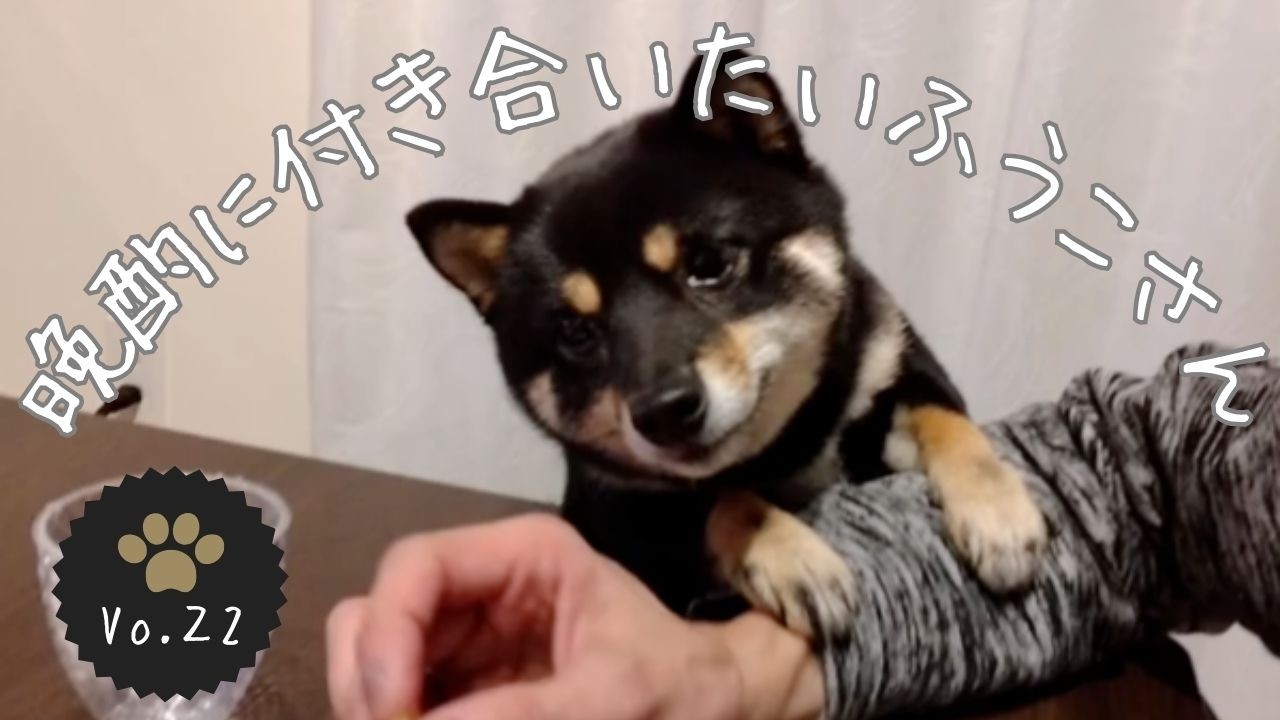 晩酌をしたいふうこさん、目的物：えいひれ