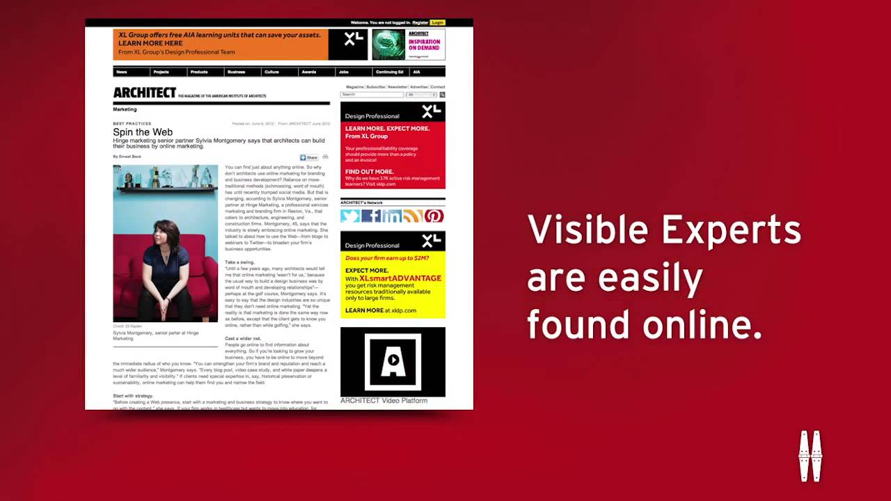 What is a Visible Expert?