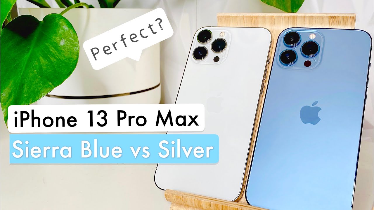 Iphone 13 Pro Max Sierra Blue vs Silver Review (1 month later!)