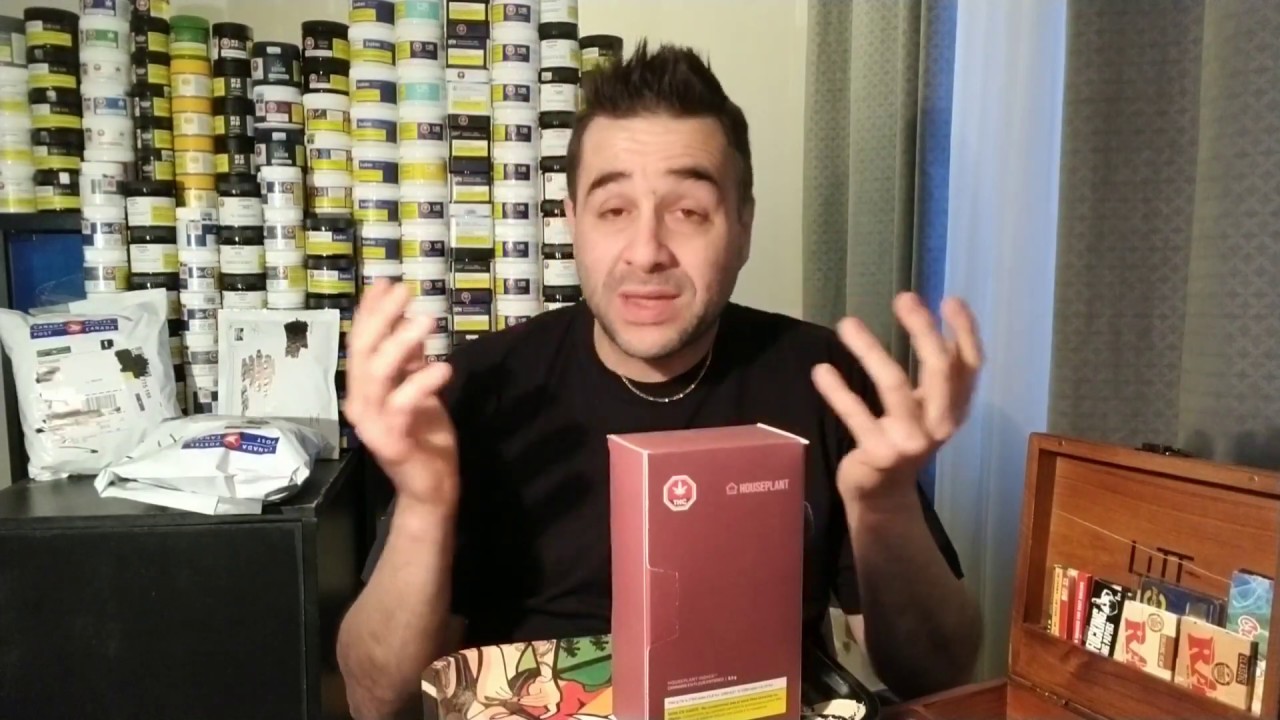 SQDC Weed Review #208 Houseplant INDICA