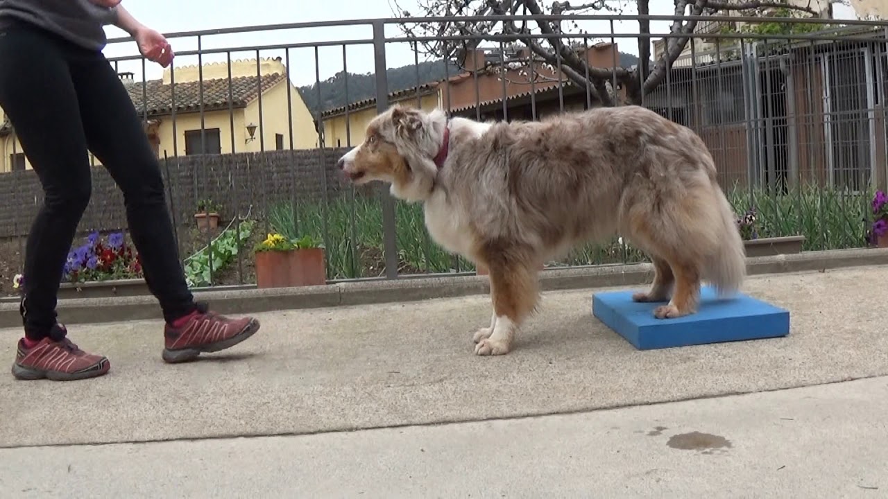 Caminar hacia atrás dos métodos