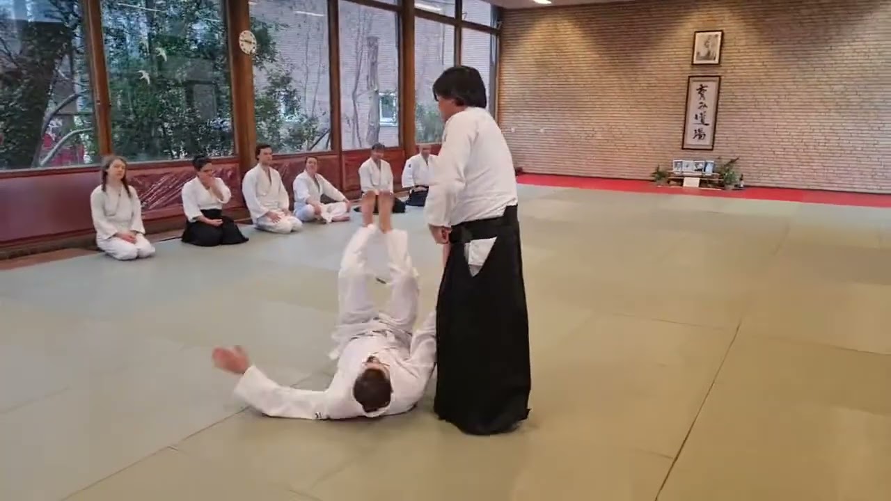 Clifton Sensei, half goose / half shihonage, Tanto Ski
