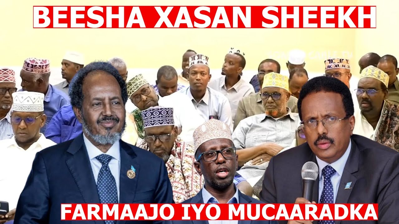 DEG DEG Odoyaal kasoo jeeda beesha Xasan sheekh(Hawiye) oo Buudka la dulmaray Farmajo iyo Mucaaradka
