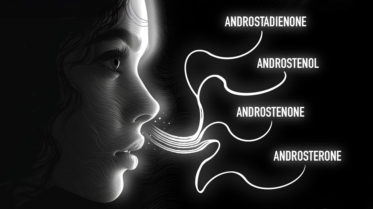 The Science of Pheromones: How men can enhance natural attraction markers.