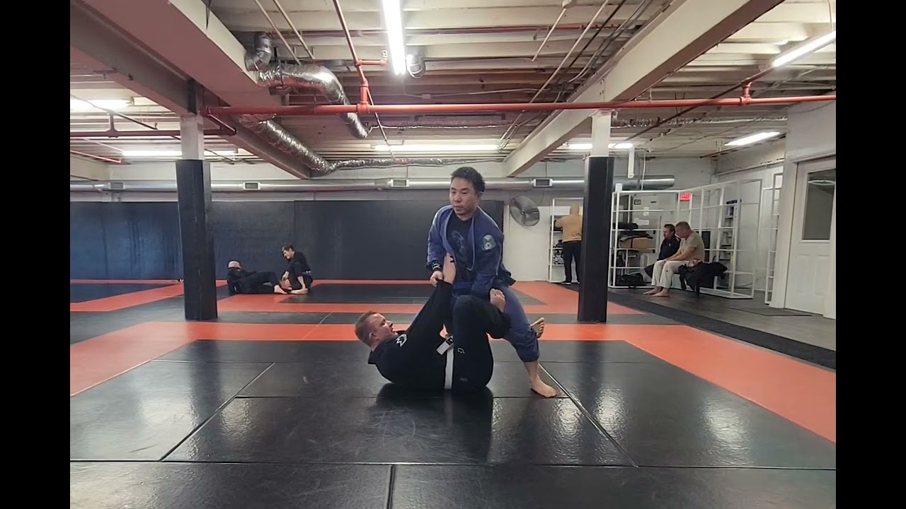 X guard passing 2 vers. 