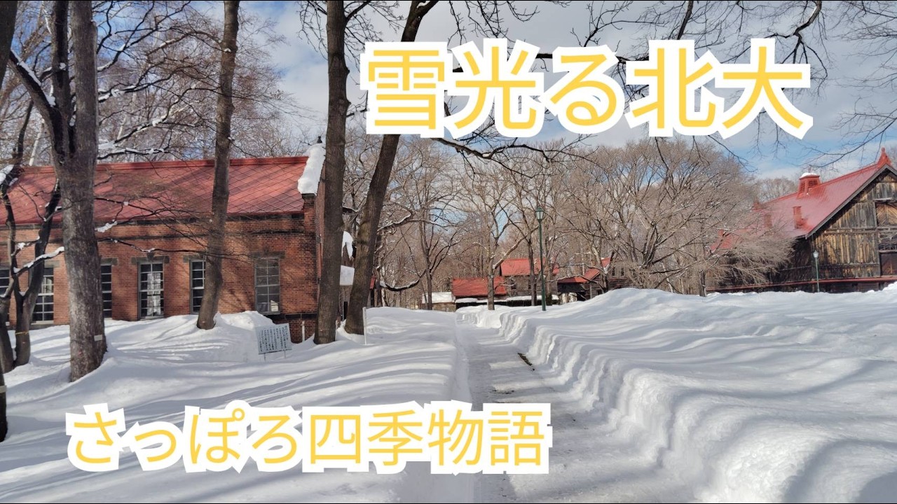 雪光る北大 さっぽろ四季物語