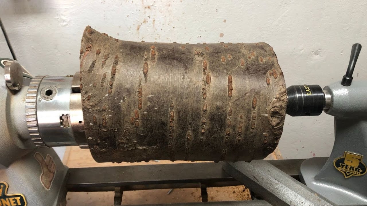 Woodturning | Off Center Emerging Vase