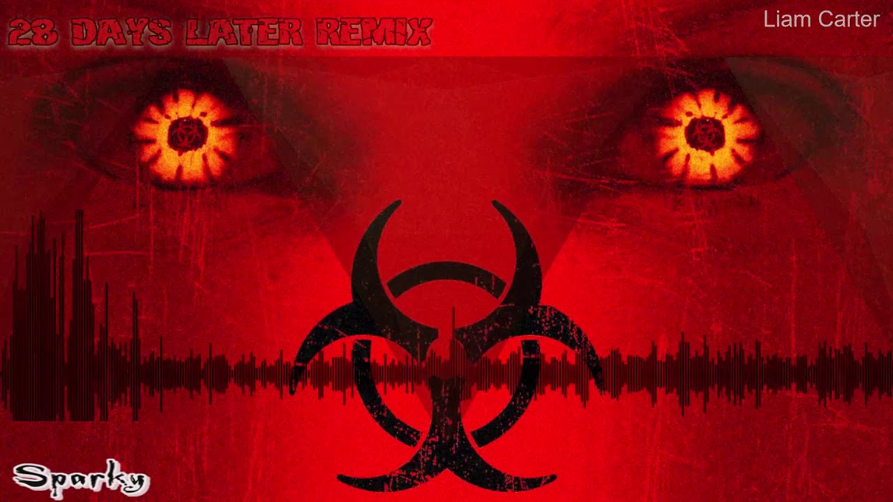 28 Days Later (remix)