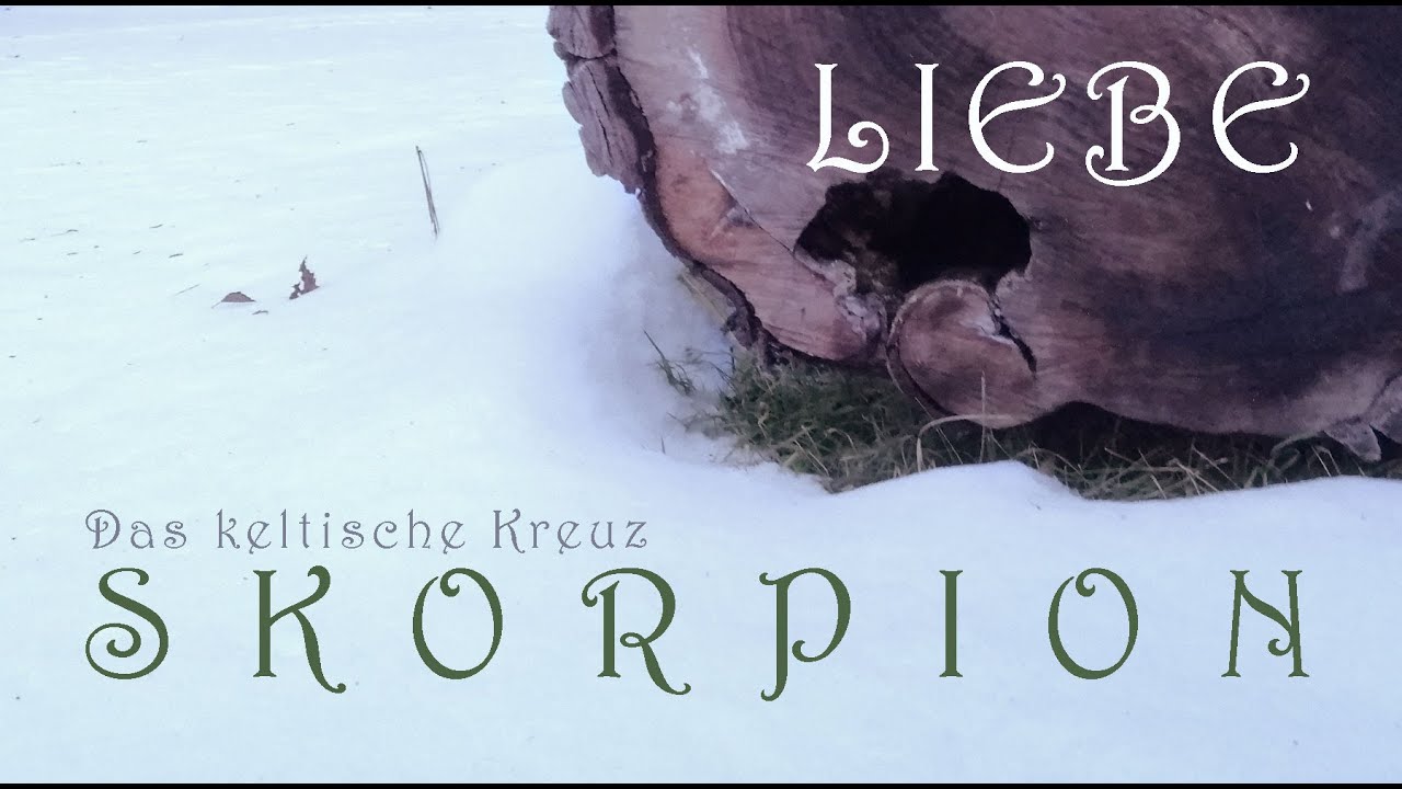❤️ SKORPION ❤️ Das kommt in Sachen Liebe auf dich zu ⭐