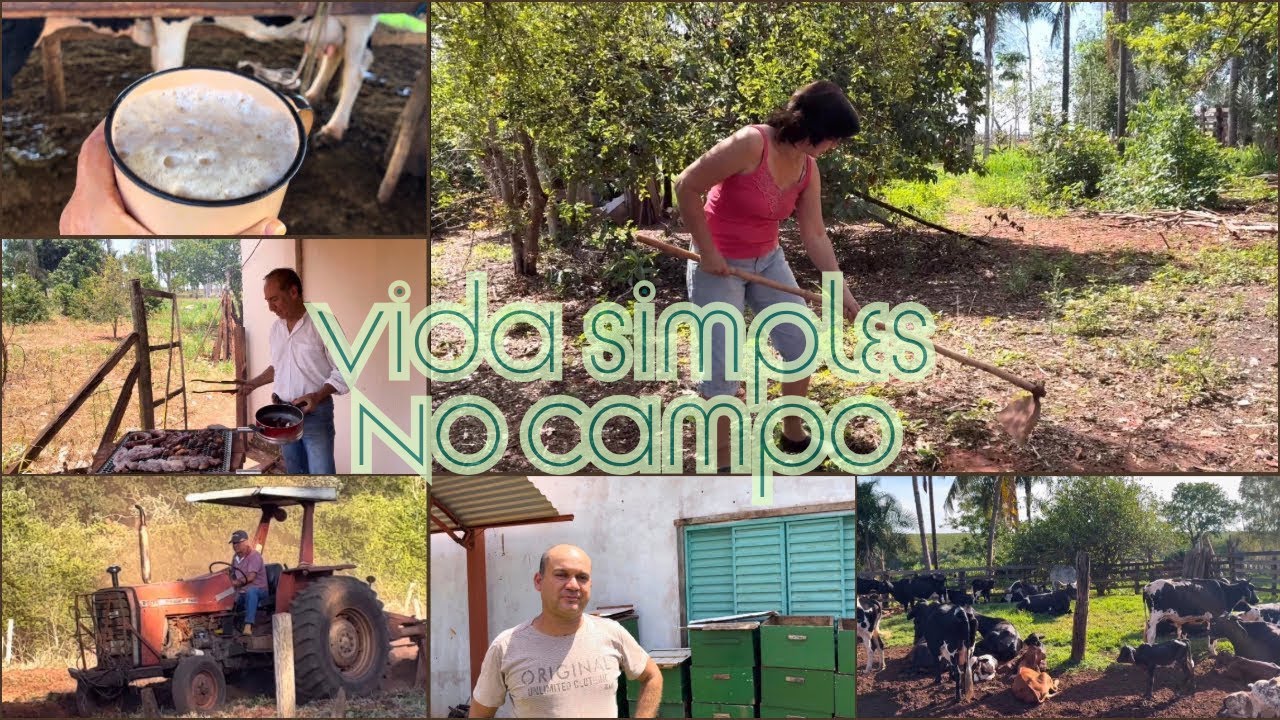 Assim é a Vida no Sítio 🌿 Simples e Verdadeira