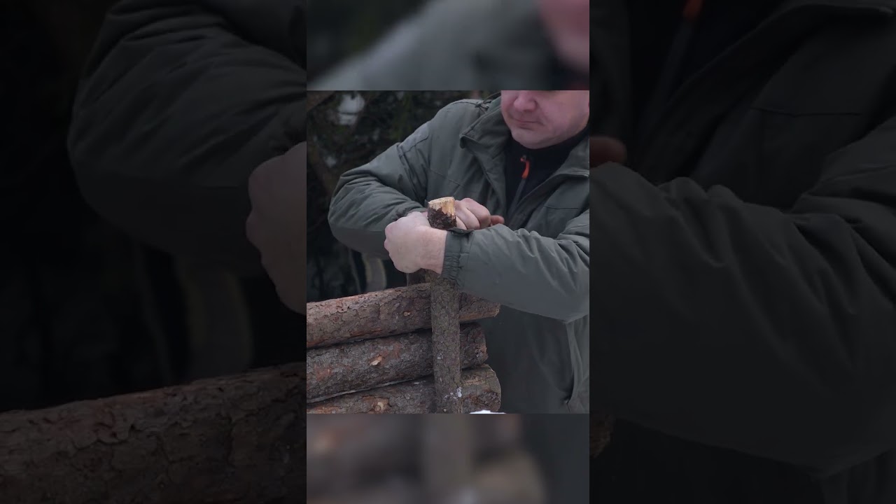 Cozy Forest Retreat Series 1