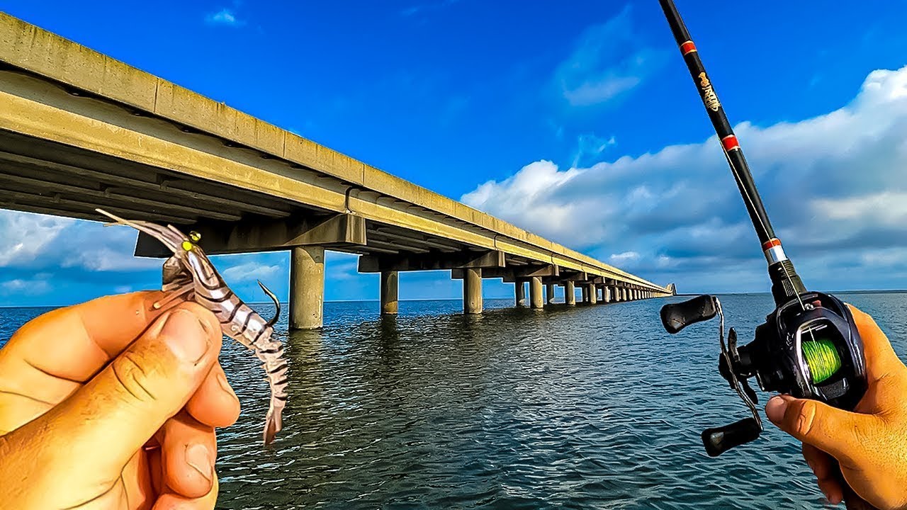 I Tossed a Fake Shrimp Around This Bridge and INSTANTLY Hooked Up!