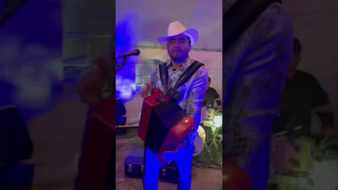 Jal&aacute;ndole a la cochi #huapangos #huapangosynorte&ntilde;as #elsinaloense #norte&ntilde;o #sierre&ntilde;o #viral