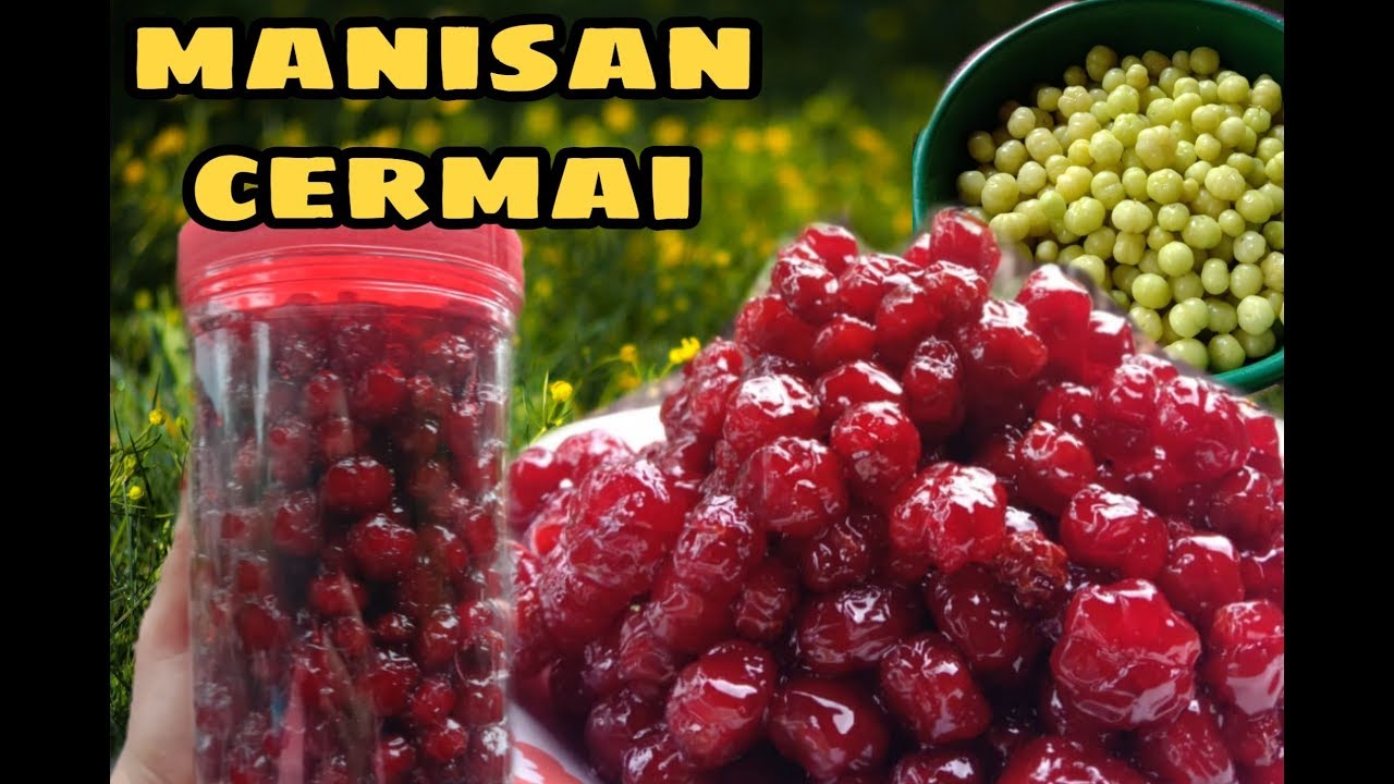Cara mudah membuat manisan buah cermai  #manisan #makananringan #mudahdanpraktis