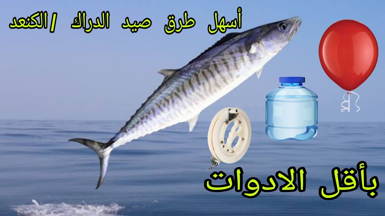 أسهل طريقة صيد سمك [ الدراك . ألكنعد ]    أدوات بسيطة ..بالون ..خيط..زجاجة ماء فارغة.