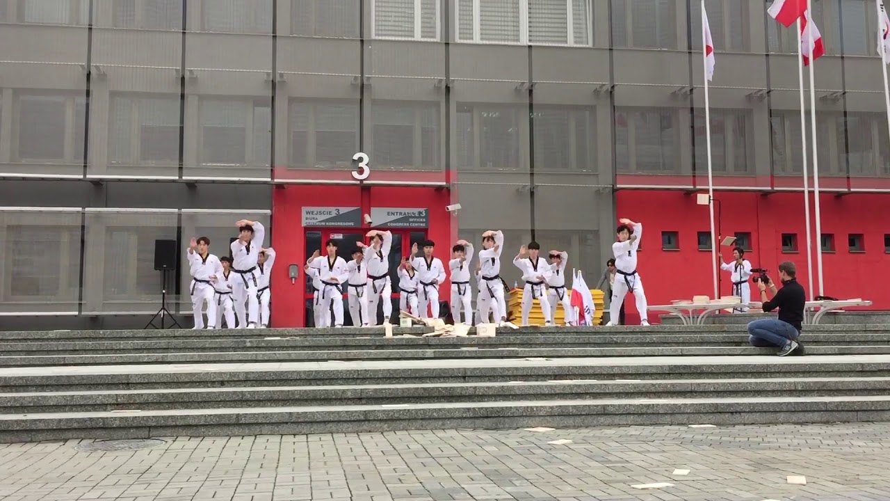 Karate and Taekwondo high flying show in MSPO Kielce Poland 2017