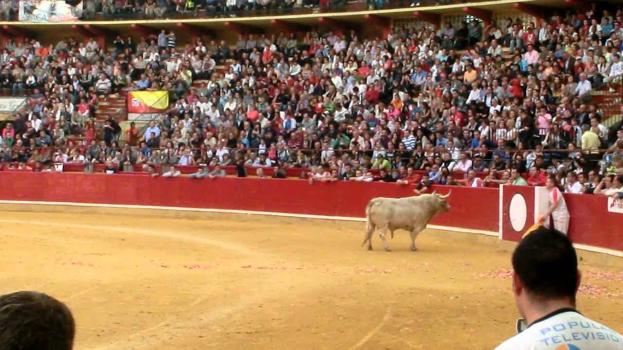NICOLAS VERGONZEANNE en Zaragoza - 16/10/2011 (LEYENDAS DEL PILAR)