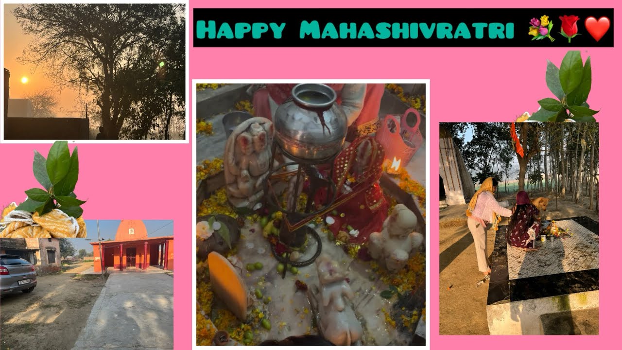 My village vlog💁‍♀️|Happy mahashivratri dosto #shiv #youtube #villagelife #desi #familyvlog