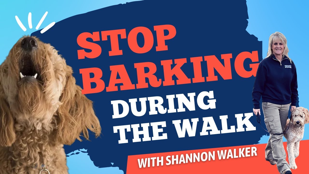Stop Barking During the Walk