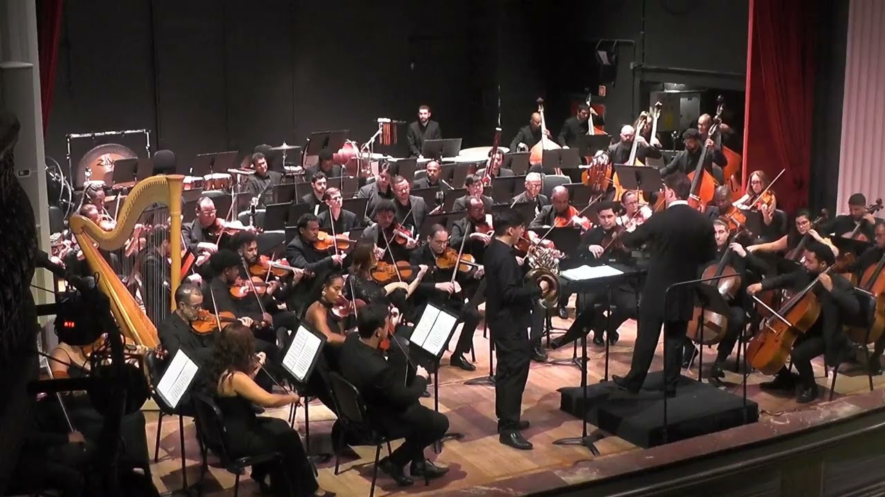 2 1 Strauss Concerto para Trompa Nº 1 Opus 11 Primeiro Movimento